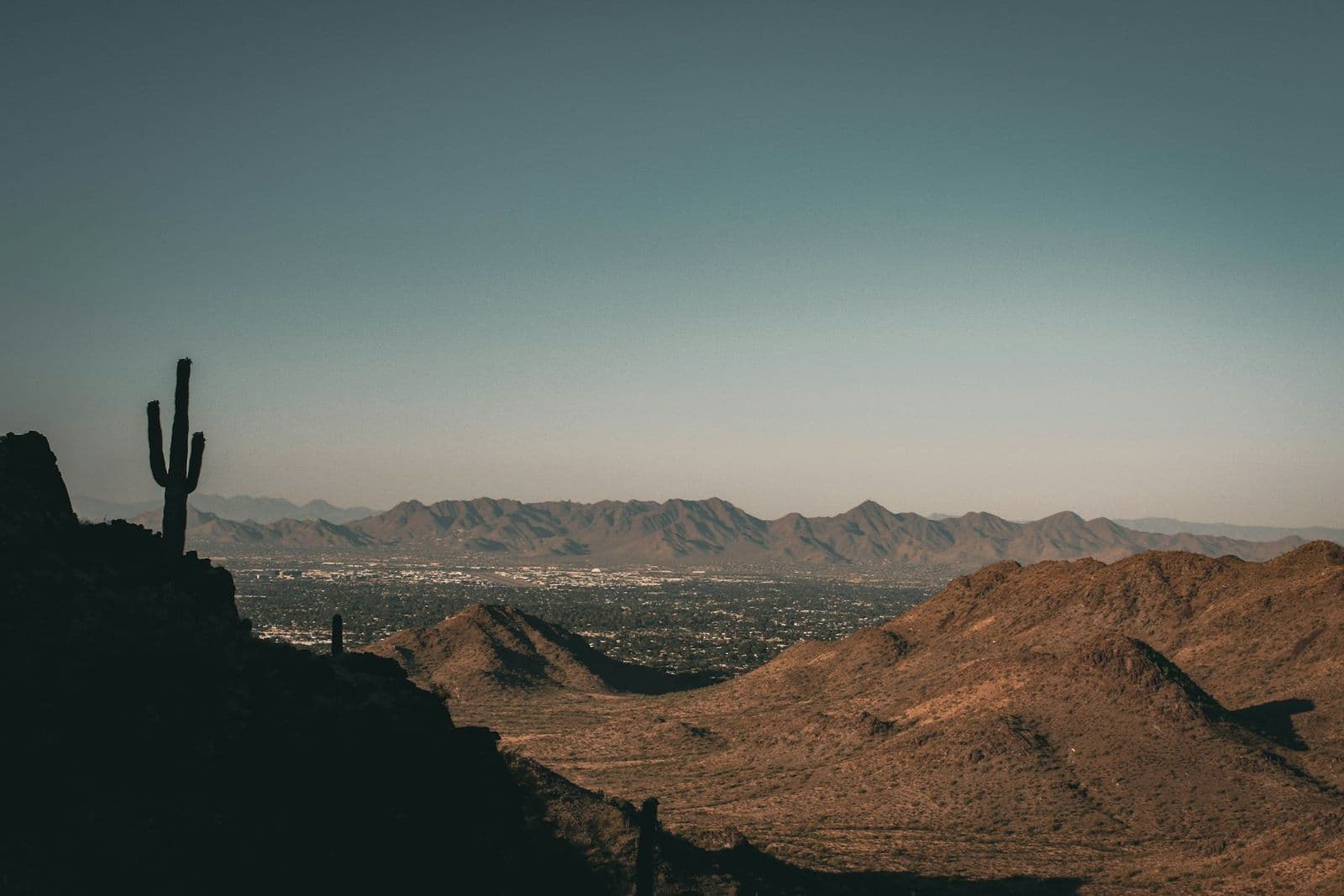 A saguaro on a ridge above the Phoenix valley at dusk